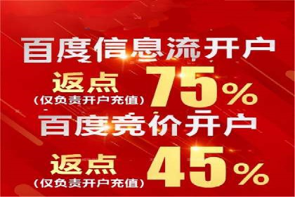 百度SEM竞价推广，案例解析转化率提升秘诀